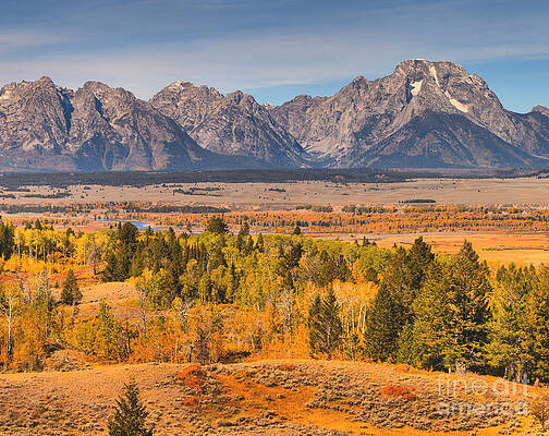 Wilderness Wall Art featuring the photograph Teton Autumn Tapestry Right by Adam Jewell