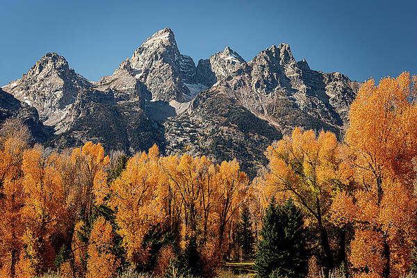 Fall Photograph - Tetons In Fall by Craig A Walker