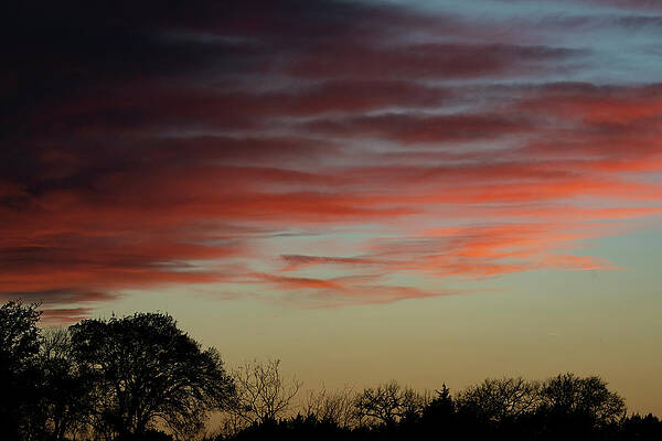 Texas Wall Art featuring the photograph Texas Hill Country Blue Hour by Ron Long Ltd Photography