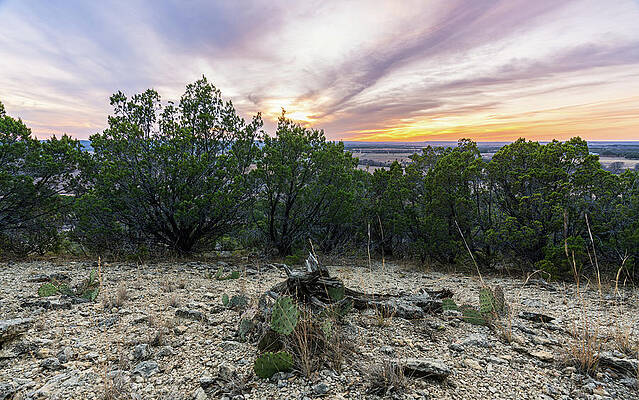 Texas Wall Art featuring the photograph Texas Hill Country Sunset by Ron Long Ltd Photography