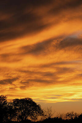 Texas Wall Art featuring the photograph Texas Hill Country Sunset Vertical by Ron Long Ltd Photography