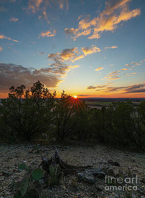 Serene Photograph - Texas Ranch Sunset 1 by Ron Long Ltd Photography