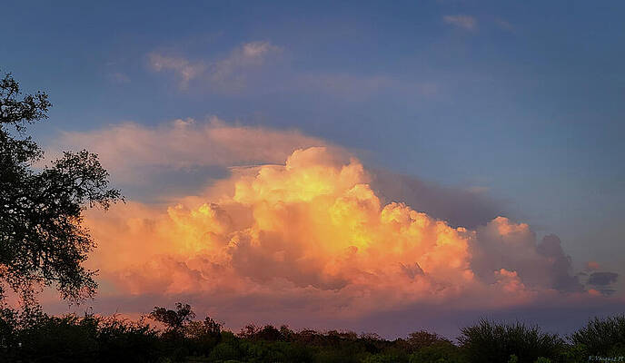 Sky Wall Art featuring the photograph Texas Sunset NBTX 1 by Rene Vasquez