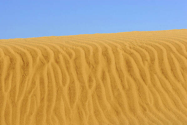 Landscape Wall Art featuring the photograph Textured Golden Sand by Severija Kirilovaite