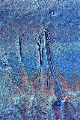Textured Alien Landscape in Blue Photograph