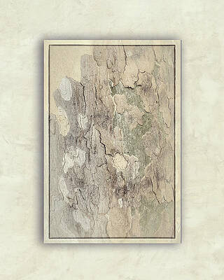 Natural Photograph - Textured Sycamore-1 by Maryanne Keeling