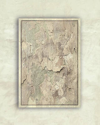 Natural Photograph - Textured Sycamore - 2 by Maryanne Keeling