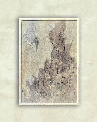 Natural Photograph - Textured Sycamore-3 by Maryanne Keeling