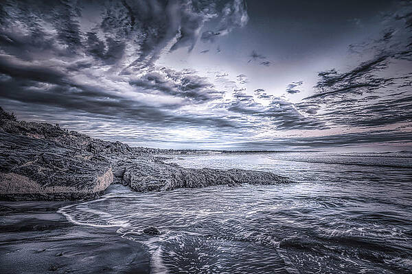 Maine Wall Art featuring the photograph Textures Of Marginal Way by Penny Polakoff