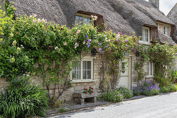 Wall Art featuring the photograph Thatched Cottage In Corfe Castle by Shirley Mitchell
