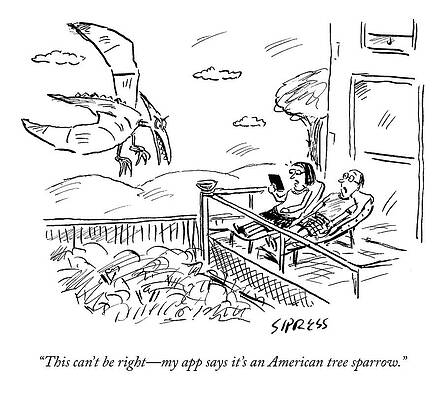 Wall Art featuring the drawing The American Tree Sparrow by Davis Sipress