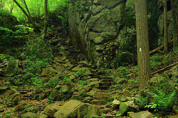 The Appalachian Trail Climbs Past Fitzgerald Falls by Raymond Salani III
