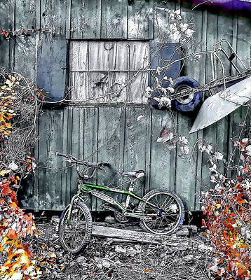 Photograph - The Back Lot by Randall Dill