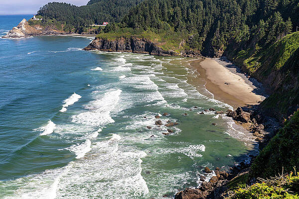 Oregon Wall Art featuring the photograph The Beach Near The Heceta Lighthouse by Ed Clark