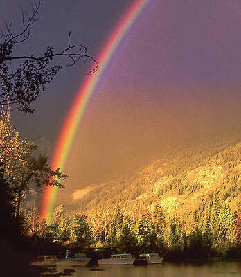 Wall Art featuring the photograph The Beginning Of The Rainbow by Barbara Siegel