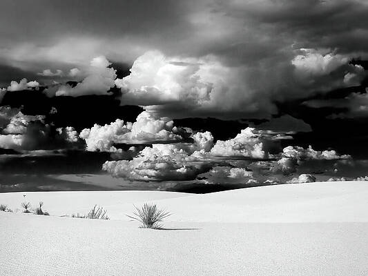 New Mexico Photograph - The Black And White Sands And Clouds by Joe Schofield