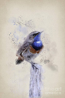 Blue Throat Bird Perched Wall Art