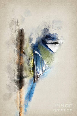 Blue Tit Perched on a Branch Digital Art