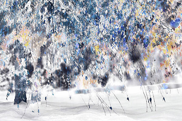 Blue Photograph - The Blues by Ursula Abresch