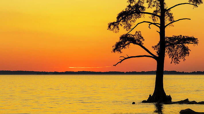 Water Photograph - The Bottom Line by David Fountain