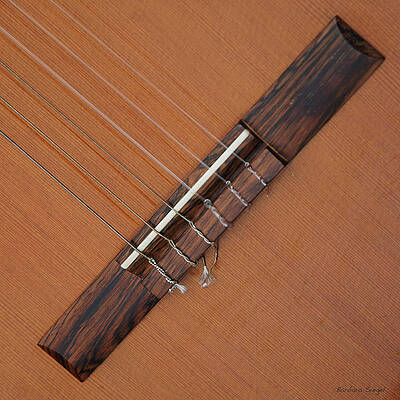 Music Wall Art featuring the photograph The Bridge by Barbara Siegel