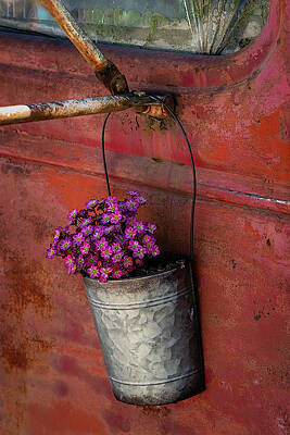 The bucket by Chris Allmendinger