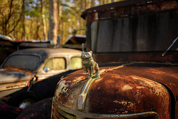 Rusted Truck with Hood Ornament Wall Art