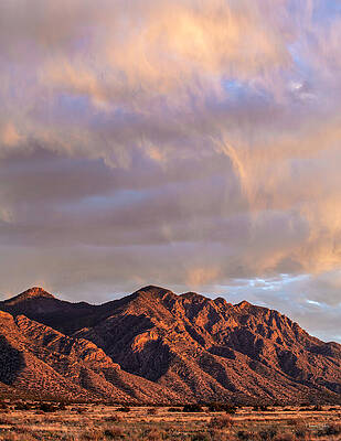 The Color of Wind by Howard Holley