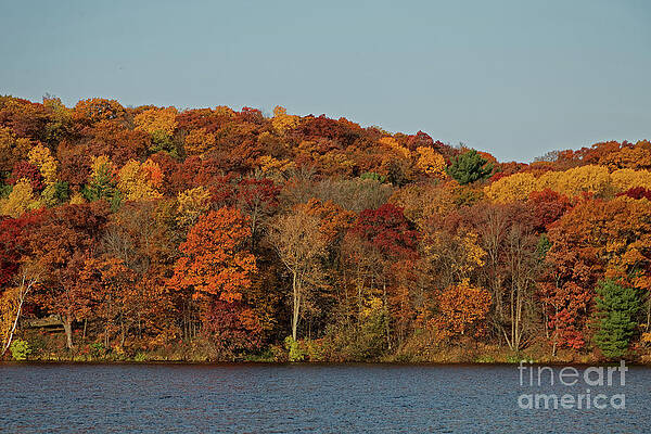 Fall Photograph - The Colors Of Autumn by Natural Focal Point Photography