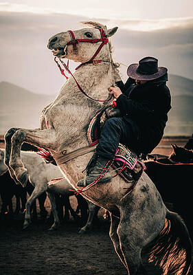 Dynamic Photograph - The Cowboy 3 by Printed View