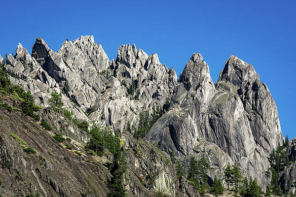Tree Wall Art featuring the photograph The Crags-2 by Diane Moller
