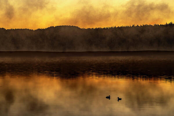 Serene Sunrise Over Misty Lake Photograph