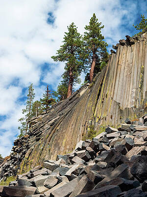 Wall Art featuring the photograph The Devil's Postpile by Joe Schofield