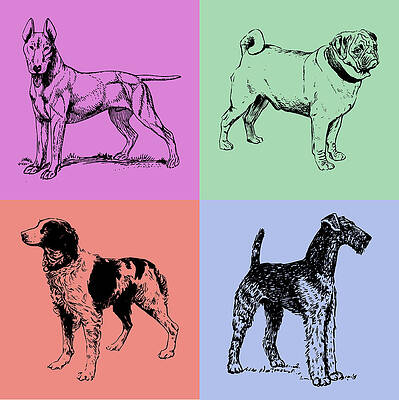 Wall Art featuring the photograph The Dog Quad by Printed View