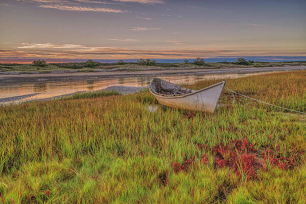 Wall Art featuring the photograph The Dory Of Footbridge Beach by Penny Polakoff