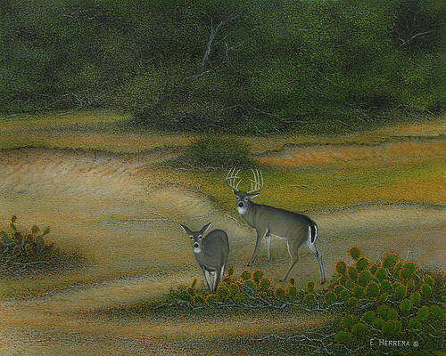 Wall Art featuring the painting The Dry Wash by Eleazar Herrera
