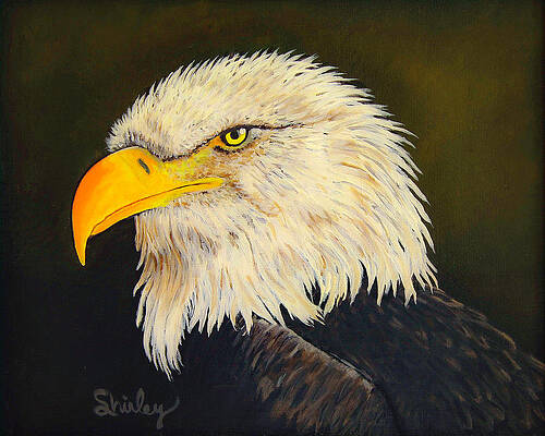 Painting - The Eagle by Shirley Dutchkowski