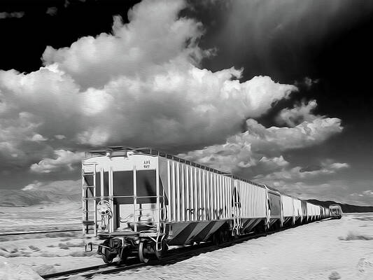Wall Art featuring the photograph The End Of The Line by Joe Schofield