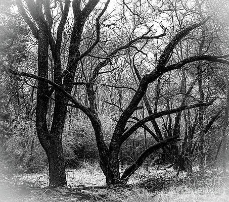 Texas Wall Art featuring the photograph The End Of The Road Monochrome by Ron Long Ltd Photography