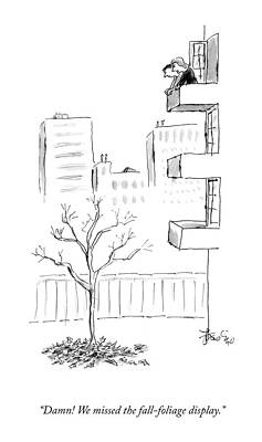 Display Wall Art featuring the drawing The Fall Foliage Display by Ed Frascino