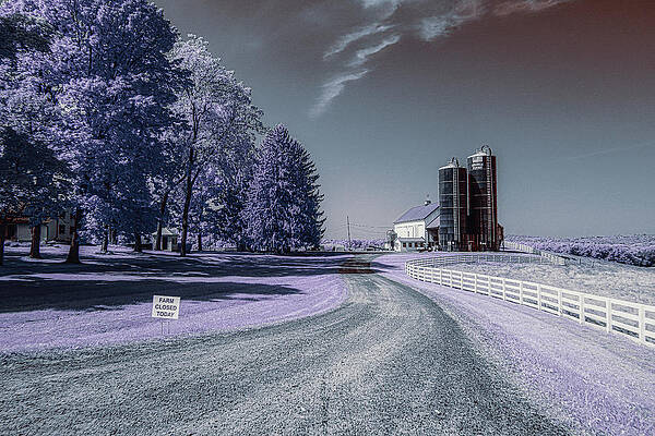 Wall Art featuring the photograph The Farm by Penny Polakoff