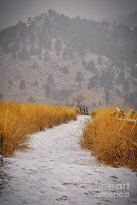 Colorado Photograph - The Flatirons At Chautauqua Park Boulder Colorado by Abigail Diane Photography