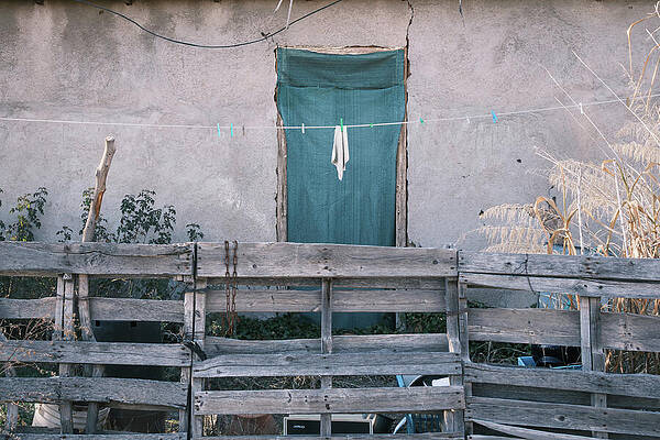 Rustic Backyard Scene with Wooden Fence Wall Art