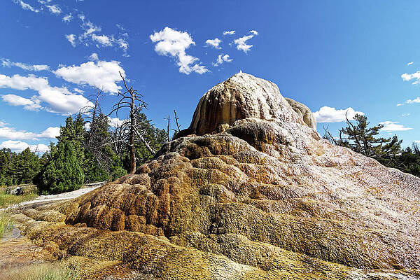 Vibrant Photograph - The Fountain -- Orange Spring Mound In Yellowstone National Park, Wyoming by Darin Volpe