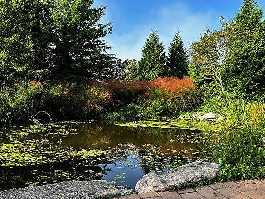 The Garden Pond by Deb Beausoleil