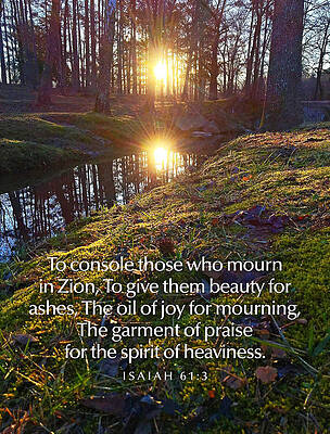 Southern Wall Art featuring the photograph The Garment Of Praise by Greg Lane