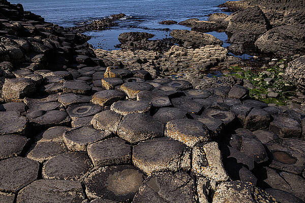Photograph - The Giant's Causeway, Northern Ireland by Francisco Ruiz Navas