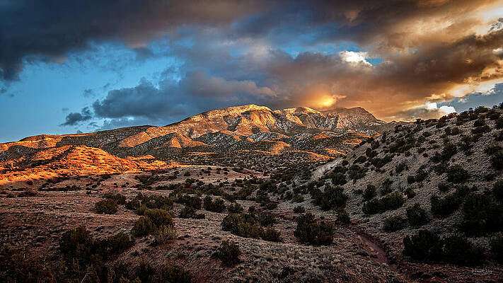 Golden Dreams by Howard Holley