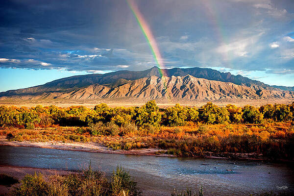 The Golden Bosque by Howard Holley