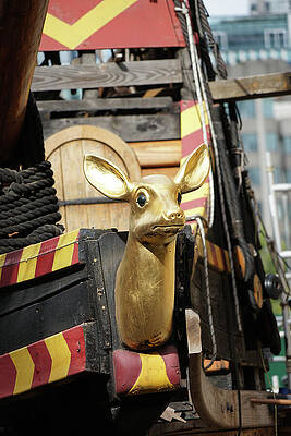 Golden Deer Figurehead on Ship Wall Art